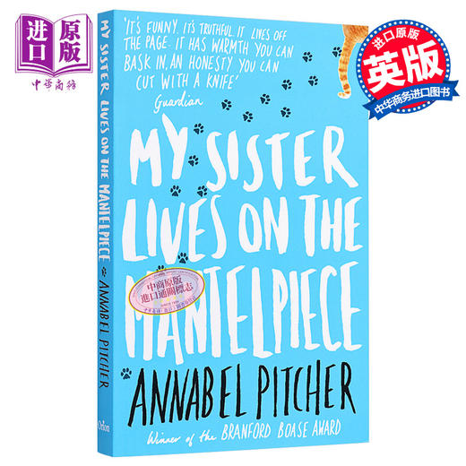 【中商原版】我的姐姐住在壁炉上 豆瓣高分 英文原版 My Sister Lives on the Mantelpiece Annabel Pitcher 商品图0