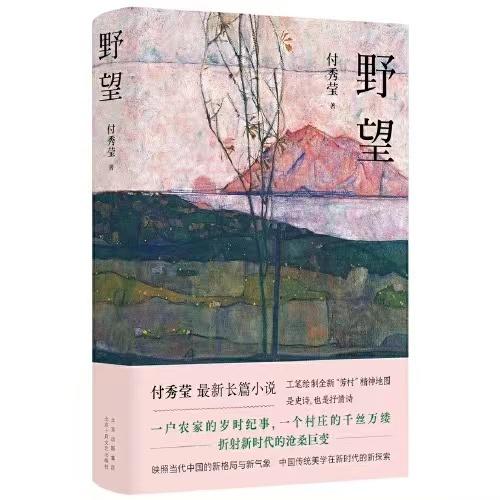 【签名本】《野望》付秀莹著 商品图0