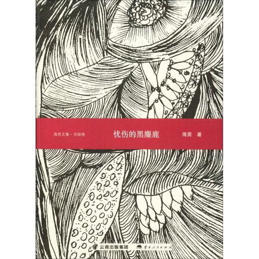 忧伤的黑麋鹿 诗歌卷 商品图0