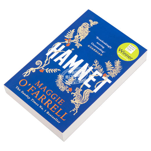 预售 【中商原版】哈姆奈特 英文原版 Hamnet 玛吉 奥法瑞尔 Maggie O Farrell 商品图2