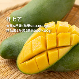 香甜肉厚的芒果之王！【广西田东桂七芒】一口入魂！