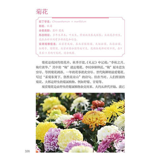 园林花卉 吴昌宇等 著科普读物 商品图3
