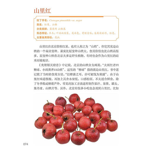 水果和干果 吴昌宇 王辰 著 科普读物 商品图1