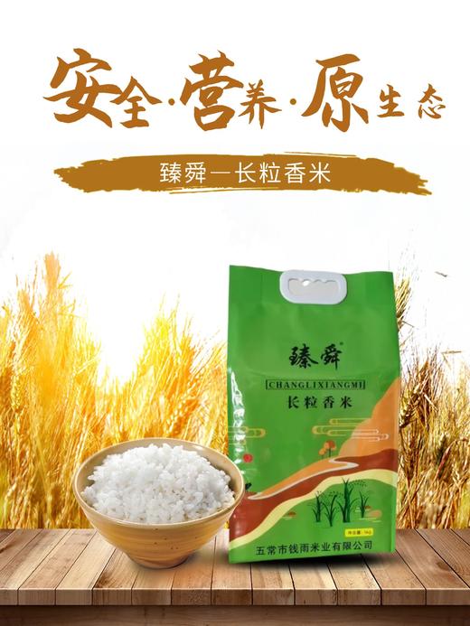 【优质大米】臻舜—长粒香米  5kg/包 商品图0