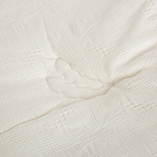 【秋冬新品】A类全棉华夫格发热大豆被 商品图10