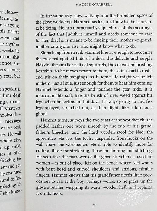 预售 【中商原版】哈姆奈特 英文原版 Hamnet 玛吉 奥法瑞尔 Maggie O Farrell 商品图7