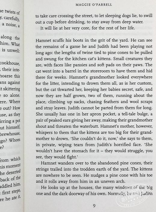 预售 【中商原版】哈姆奈特 英文原版 Hamnet 玛吉 奥法瑞尔 Maggie O Farrell 商品图8