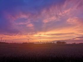 #买家秀~来自 【🍋】的分享