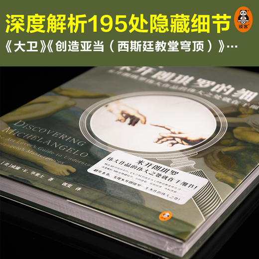 放大米开朗基罗的细节 商品图3