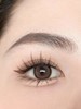 puffgirl日抛美瞳 冰栗子 14.5mm 商品缩略图0