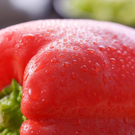 放心红圆椒 约200g/份 商品图2