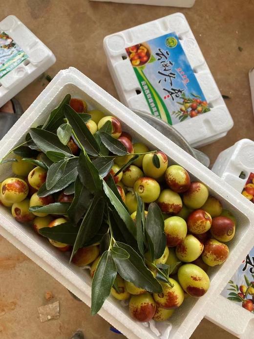 生态冬枣（有机转换）1.8kg/份 商品图4