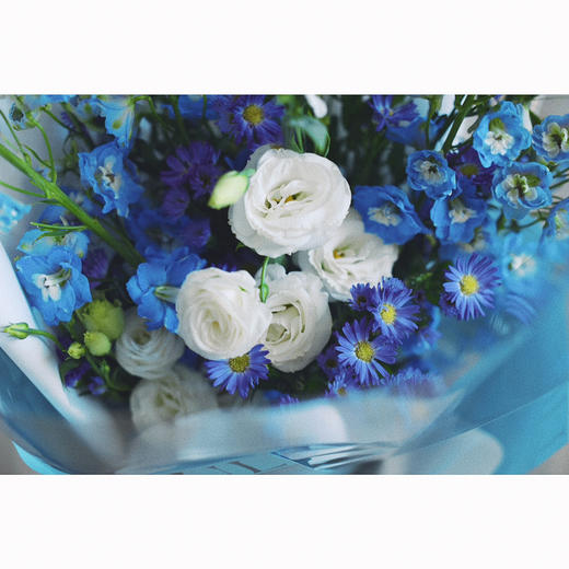 《自由飞翔》蓝色大飞燕花束 商品图5