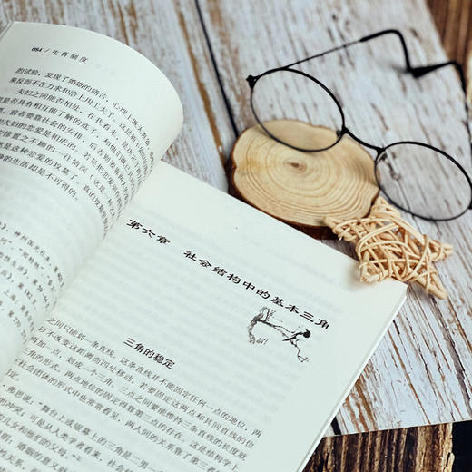 生育制度 费孝通精品集 中国农村社会学 认识中国国情 人口与经济社会文化 生育制度人口学研究 商品图10