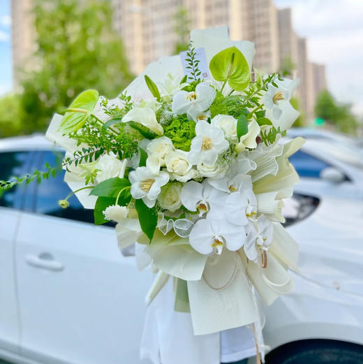 《青堤雨露》蝴蝶结绿掌花束 商品图0