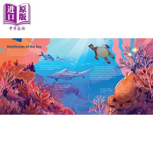 【中商原版】The World of Coral Reefs 珊瑚世界 英文原版儿童精品绘本 科学与自然主题 6到9岁 商品图2