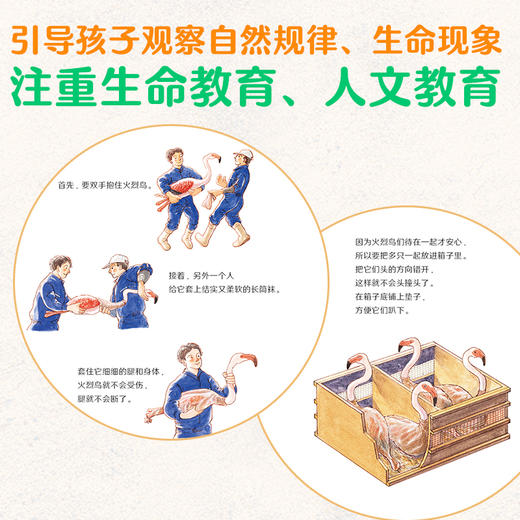 科学之友经典图画书·大自然里的博物课（7册） 商品图2