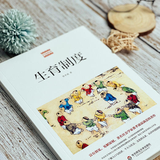 生育制度 费孝通精品集 中国农村社会学 认识中国国情 人口与经济社会文化 生育制度人口学研究 商品图6