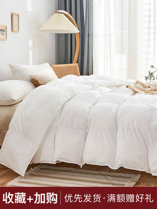 杜邦被芯冬被 加厚保暖防钻毛家用 多尺寸可选 无印良品 商品图1