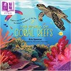 【中商原版】The World of Coral Reefs 珊瑚世界 英文原版儿童精品绘本 科学与自然主题 6到9岁 商品缩略图0