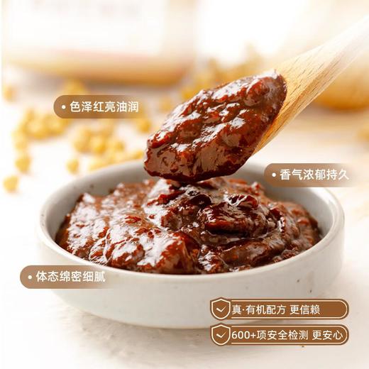 禾然 有机豆瓣酱 300g 商品图1