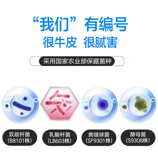 泰淘气犬猫通用宠物益生菌 整盒10包 商品图1