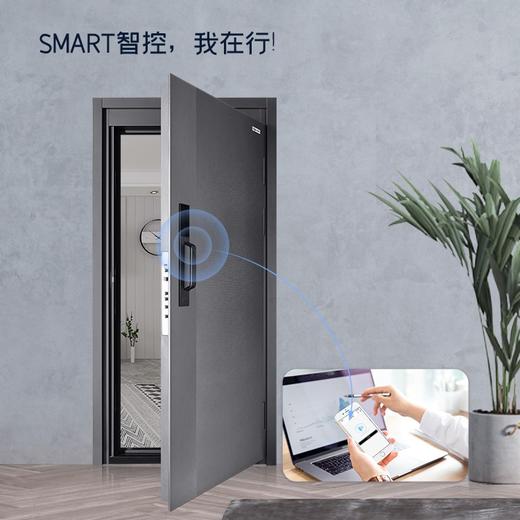 M-0232 智控锌门 亚太天能家用猫眼监控入户定制指纹全自动子母门防盗门联网智能门 商品图1