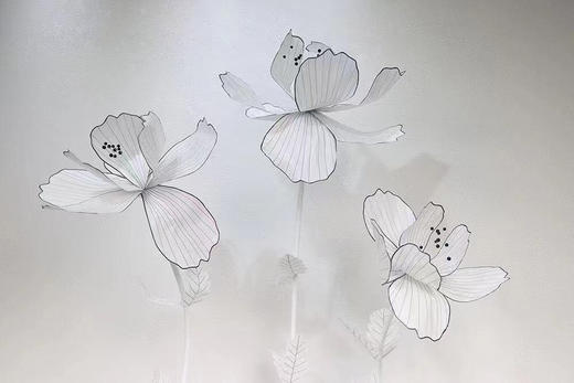 眉边花（运费自理） 商品图2