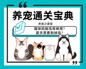 猫咪的脚毛有啥用？夏天需要剃掉吗？