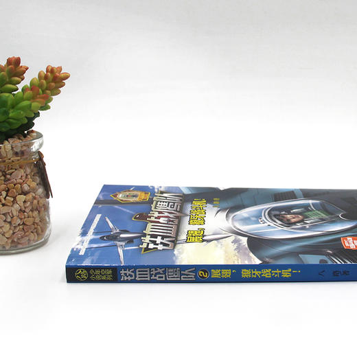 (仓发) 铁血战鹰队系列：展翅，獠牙战斗机！/接力出版社/八路/9787544850360 商品图4