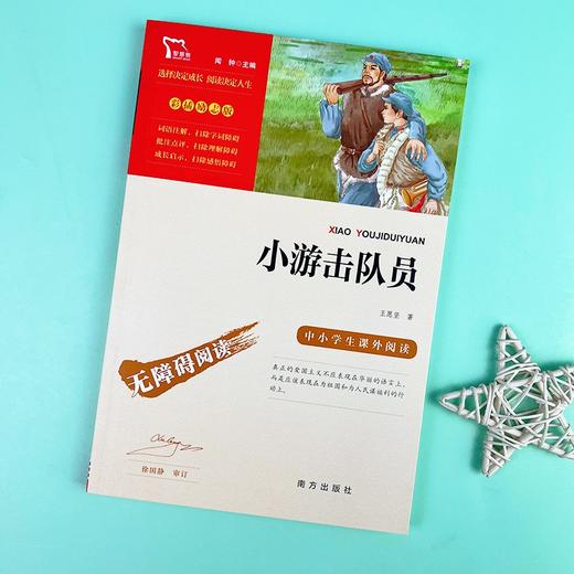 (仓发) 小游击队员 经典红色系列（ 中小学课外阅读，无障碍阅读）中小学革命传统教育读本/南方出版社/王愿坚/9787550156920 商品图6