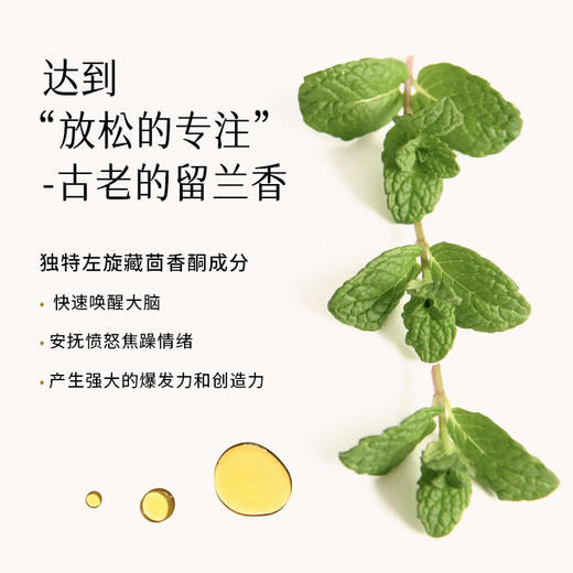 枕草子 【午安】复方纯精油5ml  保持灵感与活力 商品图2