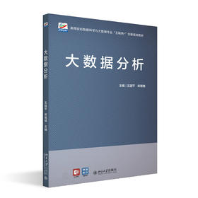 大数据分析 王道平 宋雨情 北京大学出版社