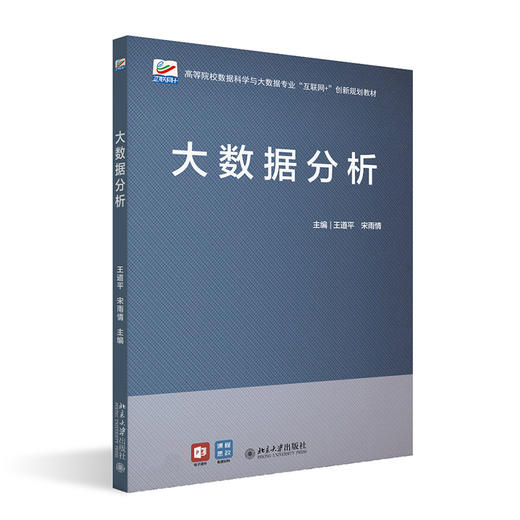 大数据分析 王道平 宋雨情 北京大学出版社 商品图0