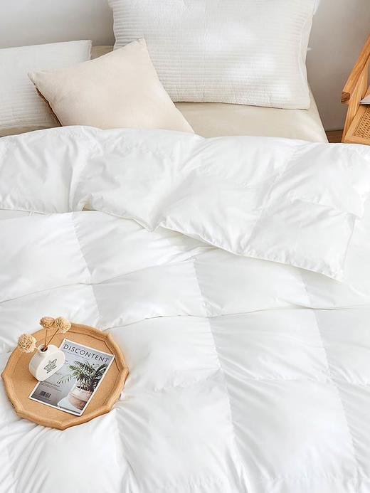 杜邦被芯冬被 加厚保暖防钻毛家用 多尺寸可选 无印良品 商品图2