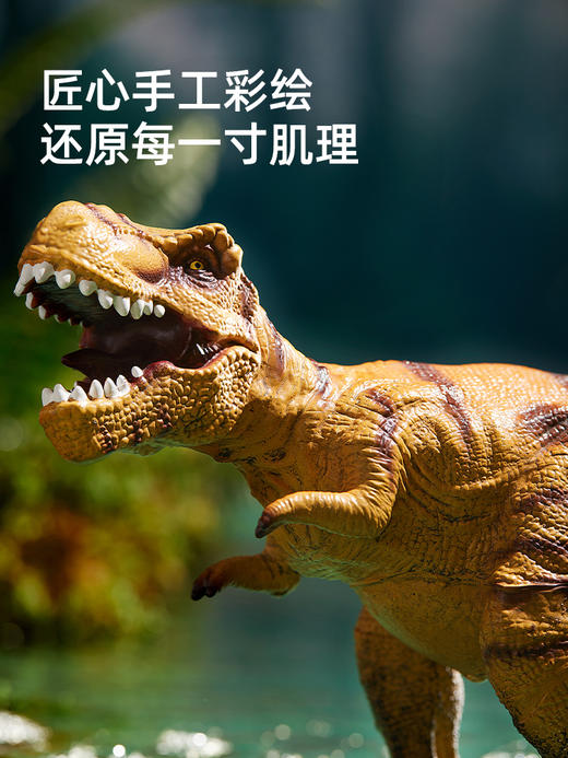 mideer弥鹿侏罗纪大恐龙玩具男孩霸王龙三角龙甲龙蛋动物仿真模型 商品图3