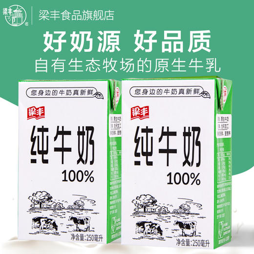 梁丰纯牛奶250ml*20盒（6个月保质期） 商品图4