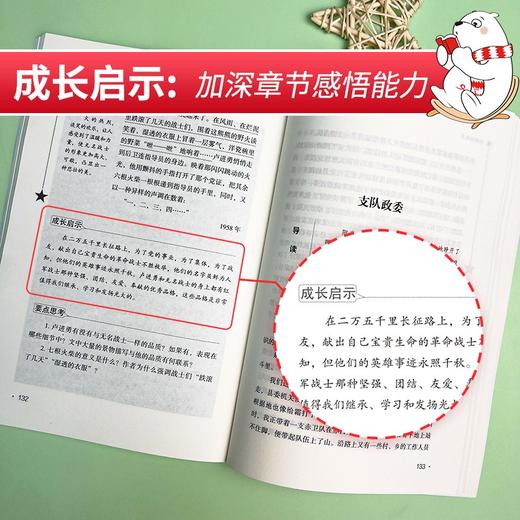 (仓发) 小游击队员 经典红色系列（ 中小学课外阅读，无障碍阅读）中小学革命传统教育读本/南方出版社/王愿坚/9787550156920 商品图2