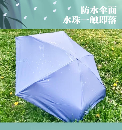 “21世纪报社”胶囊晴雨伞  超小便携 晴雨两用 商品图2