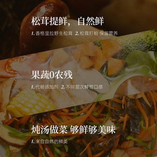 【买3送1】袋装松茸鲜蔬粉松鲜鲜 代替鸡精味精 炒菜炖汤鲜蔬粉 蔬果提鲜调味料 商品图8