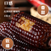 【有机】新鲜玉米 有机黑玉米 10根真空包装 非转基因 甜糯玉米 现货包邮 商品缩略图2