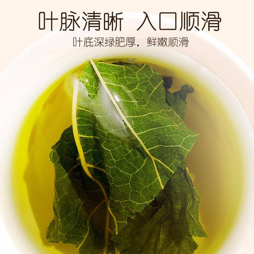【福东海】 桑叶茶120克--MD 商品图2