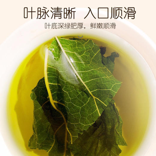 【红杏林专属】福东海 桑叶茶120克 商品图2