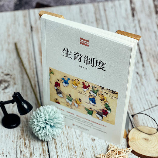 生育制度 费孝通精品集 中国农村社会学 认识中国国情 人口与经济社会文化 生育制度人口学研究 商品图4