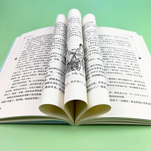 (仓发) 小游击队员 经典红色系列（ 中小学课外阅读，无障碍阅读）中小学革命传统教育读本/南方出版社/王愿坚/9787550156920 商品图8