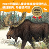 鄂温克的驼鹿（经典珍藏大开本） 商品缩略图3