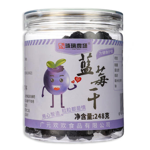 琉璃農场蓝莓干罐装248g 干果果干休闲零食 商品图0