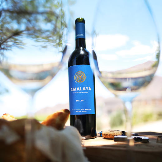 【Amalaya】阿玛拉雅马尔贝克混酿干红葡萄酒 阿根廷旗舰葡萄马尔贝克 1800米高海拔产区 橡木桶陈化8个月 多次获奖 草莓覆盆子水果香气夹杂一丝胡椒香 充满活力 750ml 商品图3