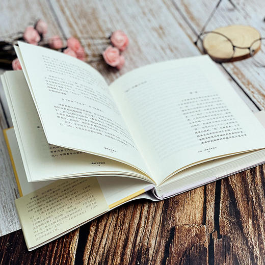 漫话文学语言 大夏书系 王尚文著 名家教育谈 语文教师 商品图4