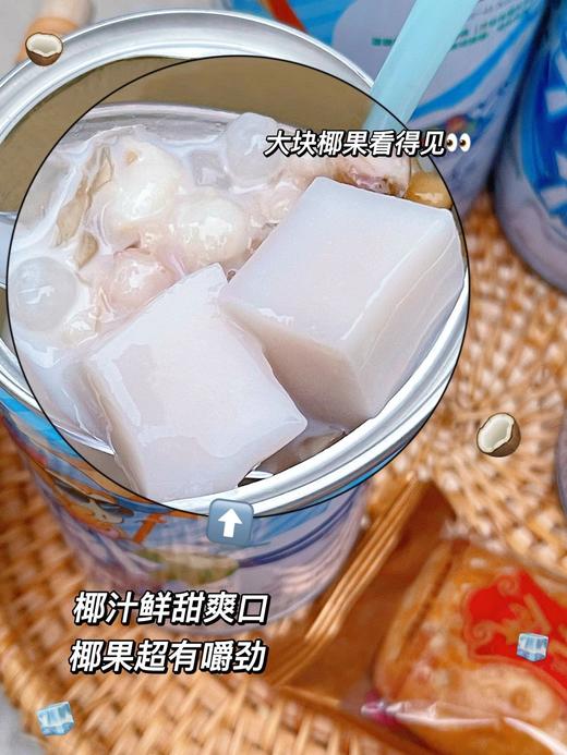 【每日食养】南国徐大漂亮椰汁椰果谷物清补凉 6罐 商品图4